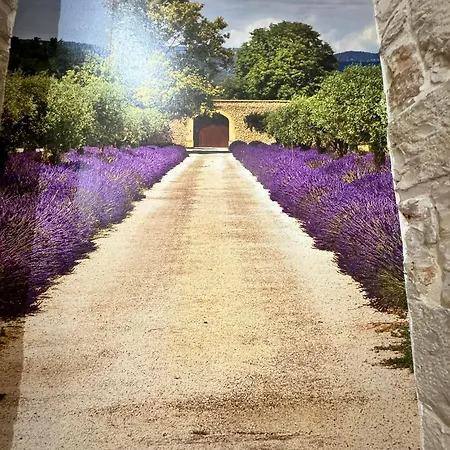 Amale 25 Medioevo Design Corato