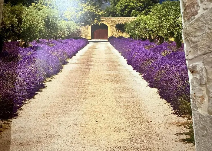 Amale 25 Medioevo Design Corato